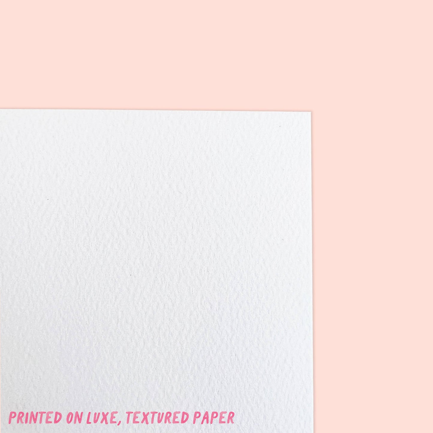 Holiday Cocktails Greeting Card | Box Set of 6 Holiday Cards