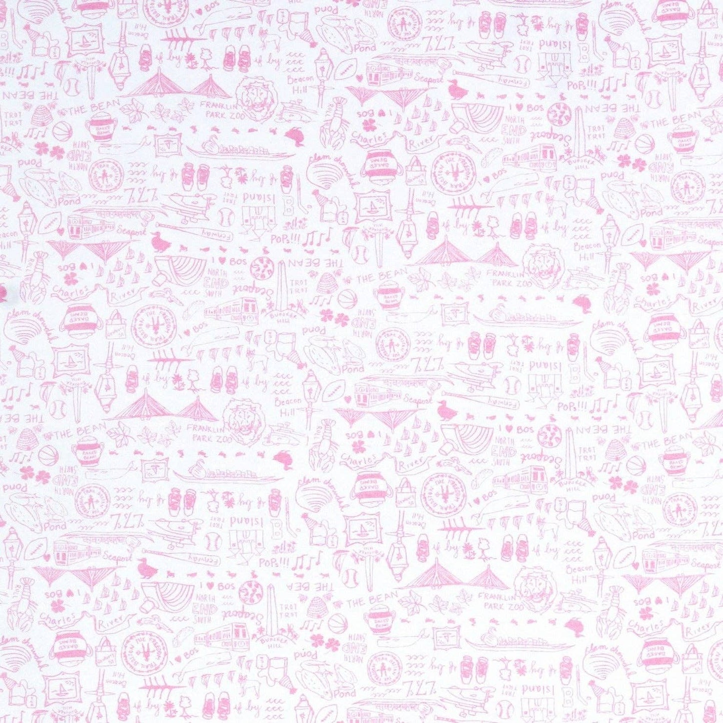 Joy Street Boston Baby Blanket Pink