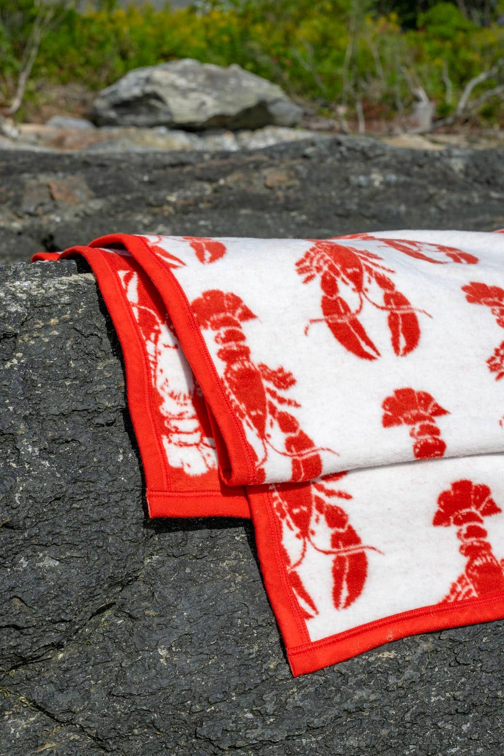 Chappy Wrap Lobster Shack Blanket
