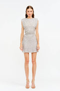 Lucia Sequin Mini Dress