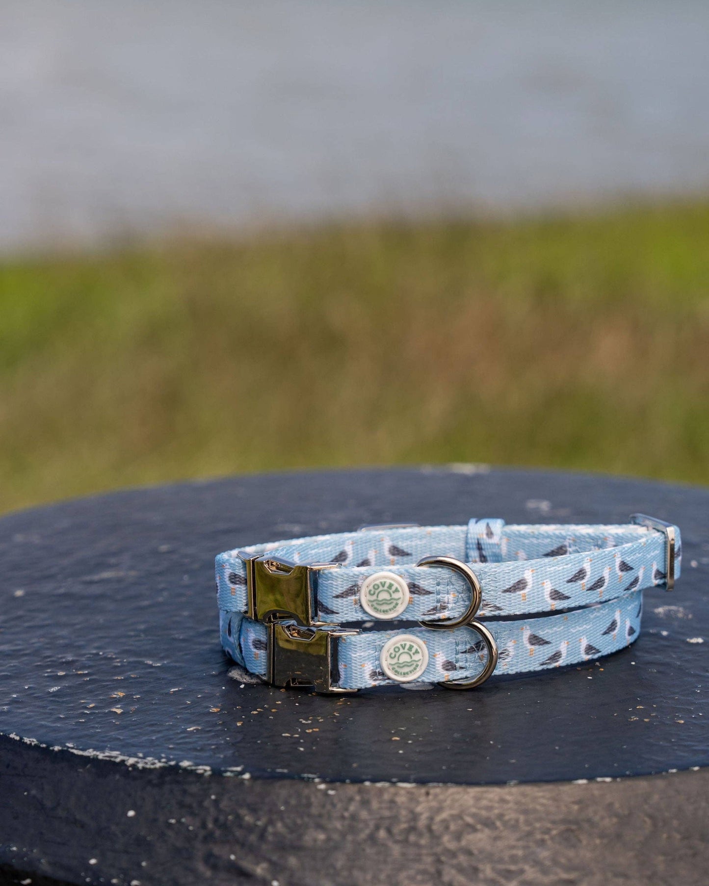 Seabird Dog Collar