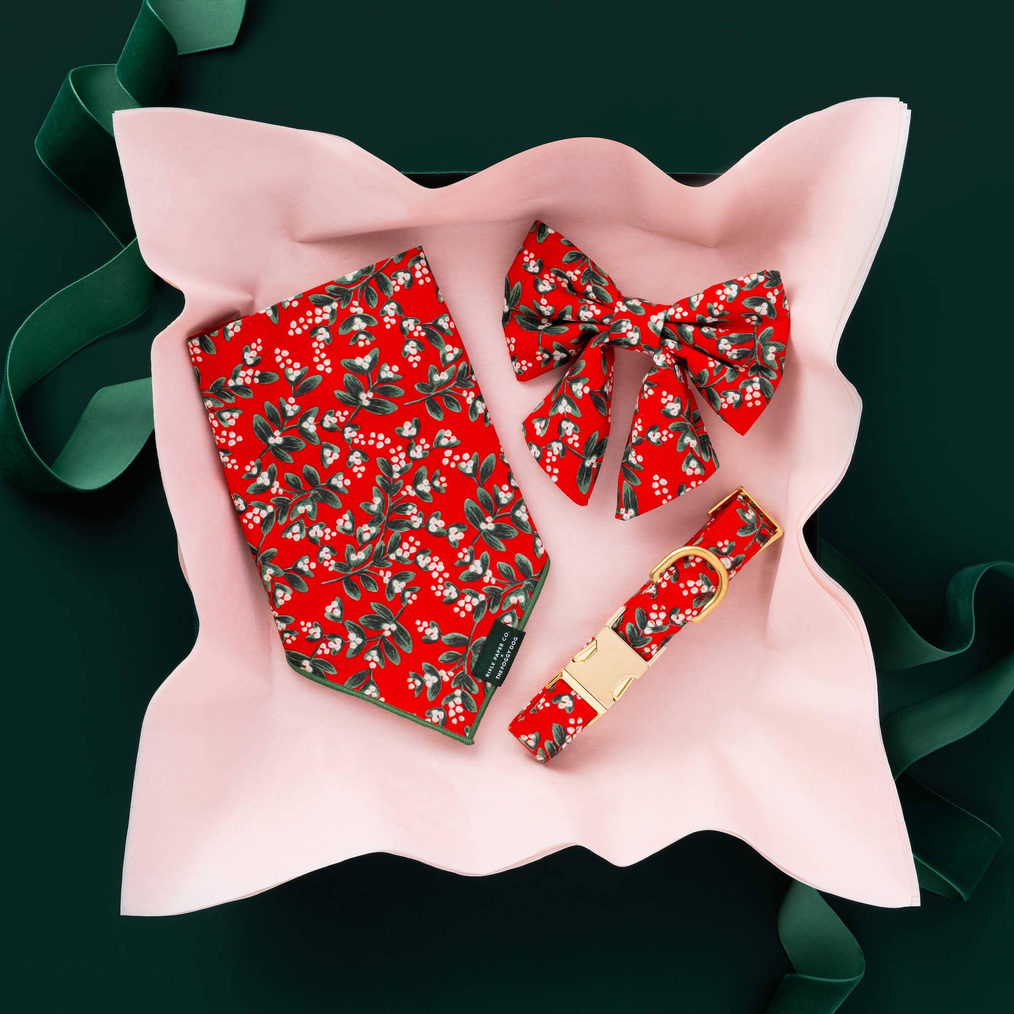 Rifle Paper Co. x TFD Mistletoe Dog Collar