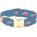 American Flag Embroidered Dog Collar