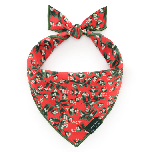 Rifle Paper Co. x TFD Mistletoe Dog Bandana