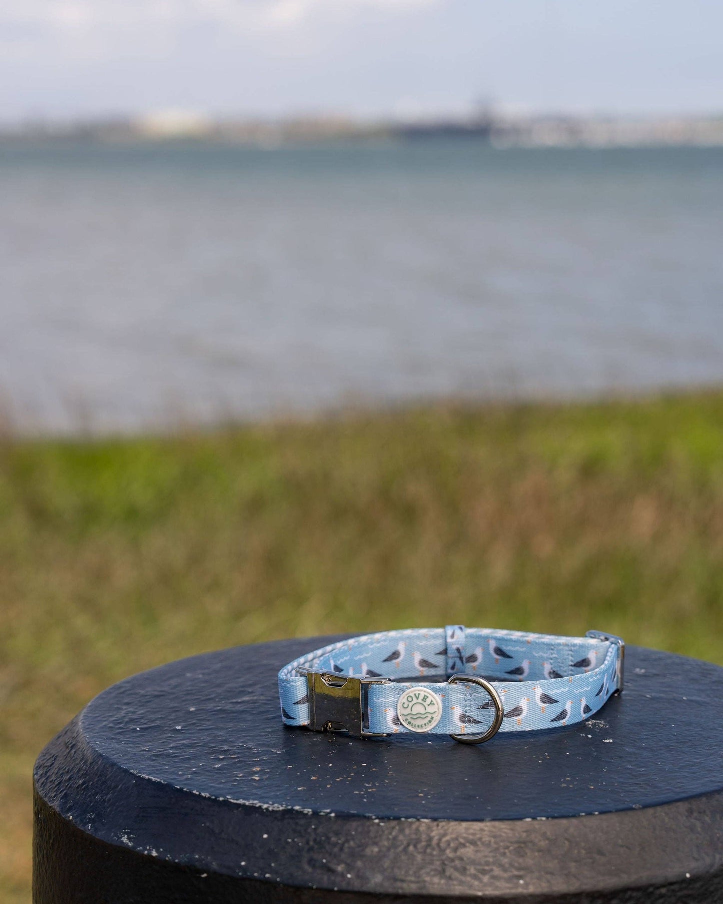 Seabird Dog Collar